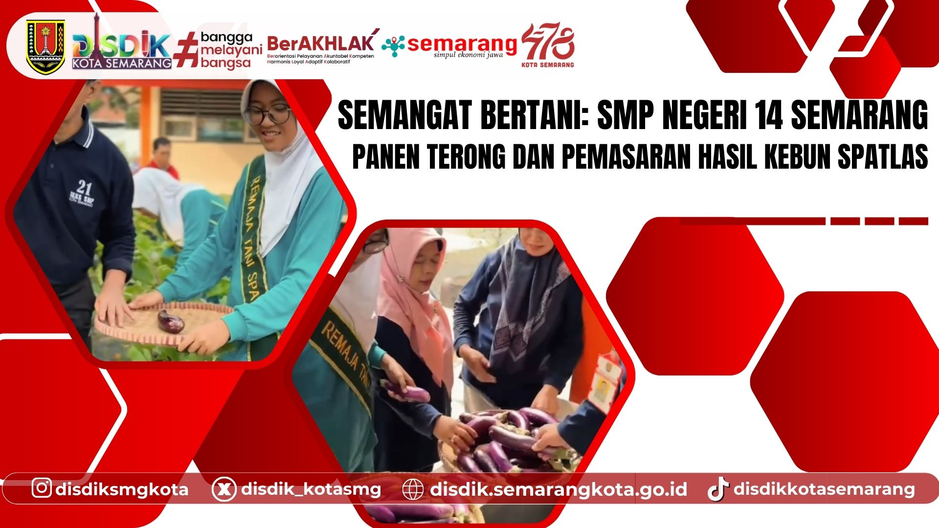 Semangat Bertani: SMP Negeri 14 Semarang Panen Terong dan Pemasaran Hasil Kebun SPATLAS